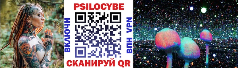 блэк спрут вход  сайты даркнета состав  Питкяранта  Псилоцибиновые грибы Psilocybe  продажа наркотиков 